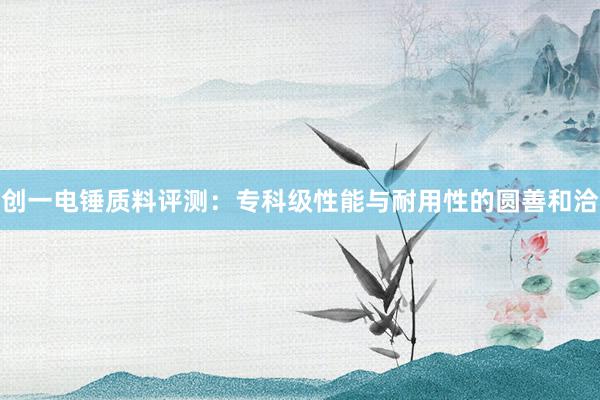 创一电锤质料评测：专科级性能与耐用性的圆善和洽